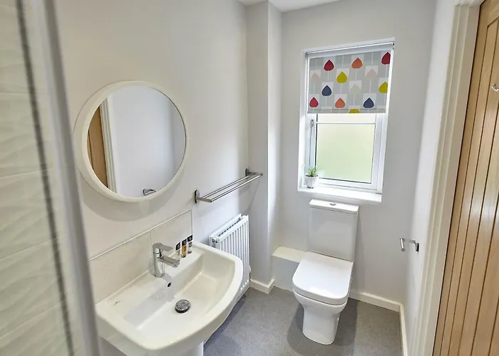 Host & - Mallard * ويتبي